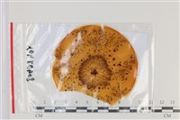 登錄號:F0035089藏品圖，第1張