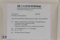 登錄號:F0035090藏品圖，第2張