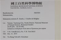登錄號:F0035091藏品圖，第2張