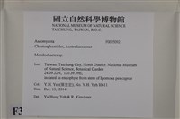登錄號:F0035092藏品圖，第2張