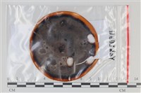 登錄號:F0035092藏品圖，第1張