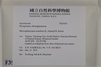 登錄號:F0035093藏品圖，第2張