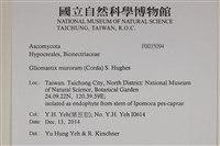 登錄號:F0035094藏品圖，第2張