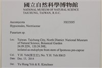 登錄號:F0035095藏品圖，第2張