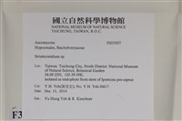 登錄號:F0035097藏品圖，第2張