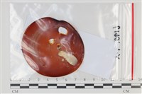 登錄號:F0035097藏品圖，第1張