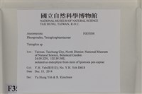 登錄號:F0035098藏品圖，第2張