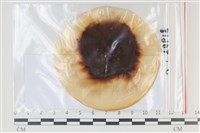 登錄號:F0035098藏品圖，第1張