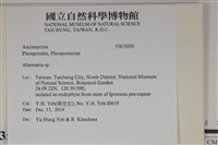 登錄號:F0035099藏品圖，第2張