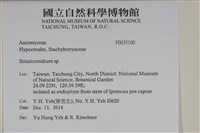 登錄號:F0035100藏品圖，第2張