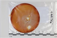 登錄號:F0035100藏品圖，第1張