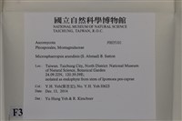 登錄號:F0035101藏品圖，第2張
