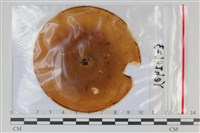 登錄號:F0035101藏品圖，第1張