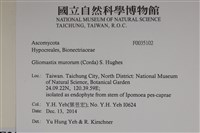 登錄號:F0035102藏品圖，第2張