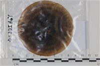 登錄號:F0035102藏品圖，第1張