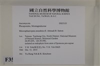 登錄號:F0035103藏品圖，第2張