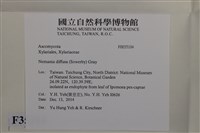 登錄號:F0035104藏品圖，第2張
