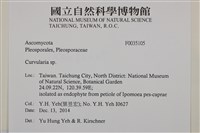 登錄號:F0035105藏品圖，第2張