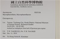 登錄號:F0035106藏品圖，第2張