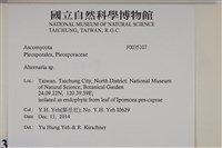 登錄號:F0035107藏品圖，第2張