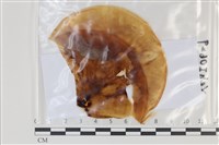 登錄號:F0035107藏品圖，第1張