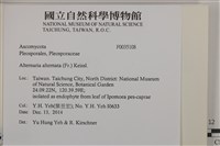 登錄號:F0035108藏品圖，第2張