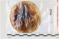 登錄號:F0035108藏品圖，第1張