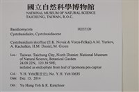 登錄號:F0035109藏品圖，第2張