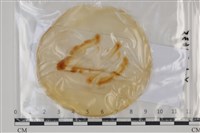 登錄號:F0035109藏品圖，第1張