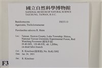 登錄號:F0035110藏品圖，第2張