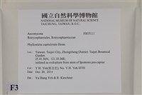 登錄號:F0035111藏品圖，第2張