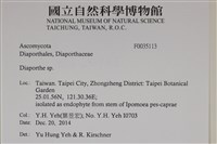 登錄號:F0035113藏品圖，第2張