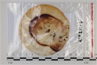 登錄號:F0035114藏品圖，第1張