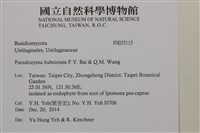 登錄號:F0035115藏品圖，第2張