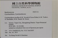 登錄號:F0035116藏品圖，第2張