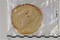 登錄號:F0035118藏品圖，第1張