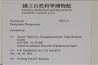 登錄號:F0035119藏品圖，第2張