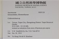 登錄號:F0035120藏品圖，第2張