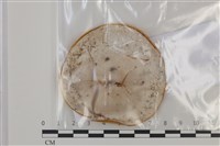 登錄號:F0035120藏品圖，第1張