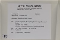 登錄號:F0035121藏品圖，第2張