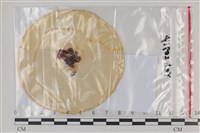 登錄號:F0035121藏品圖，第1張