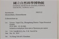 登錄號:F0035122藏品圖，第2張