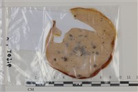 登錄號:F0035122藏品圖，第1張