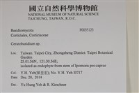 登錄號:F0035123藏品圖，第2張