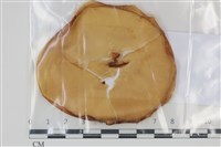 登錄號:F0035123藏品圖，第1張