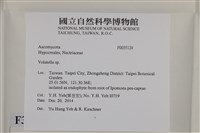 登錄號:F0035124藏品圖，第2張