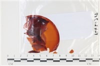 登錄號:F0035124藏品圖，第1張