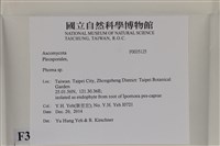 登錄號:F0035125藏品圖，第2張