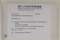 登錄號:F0035126藏品圖，第2張