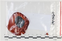 登錄號:F0035126藏品圖，第1張